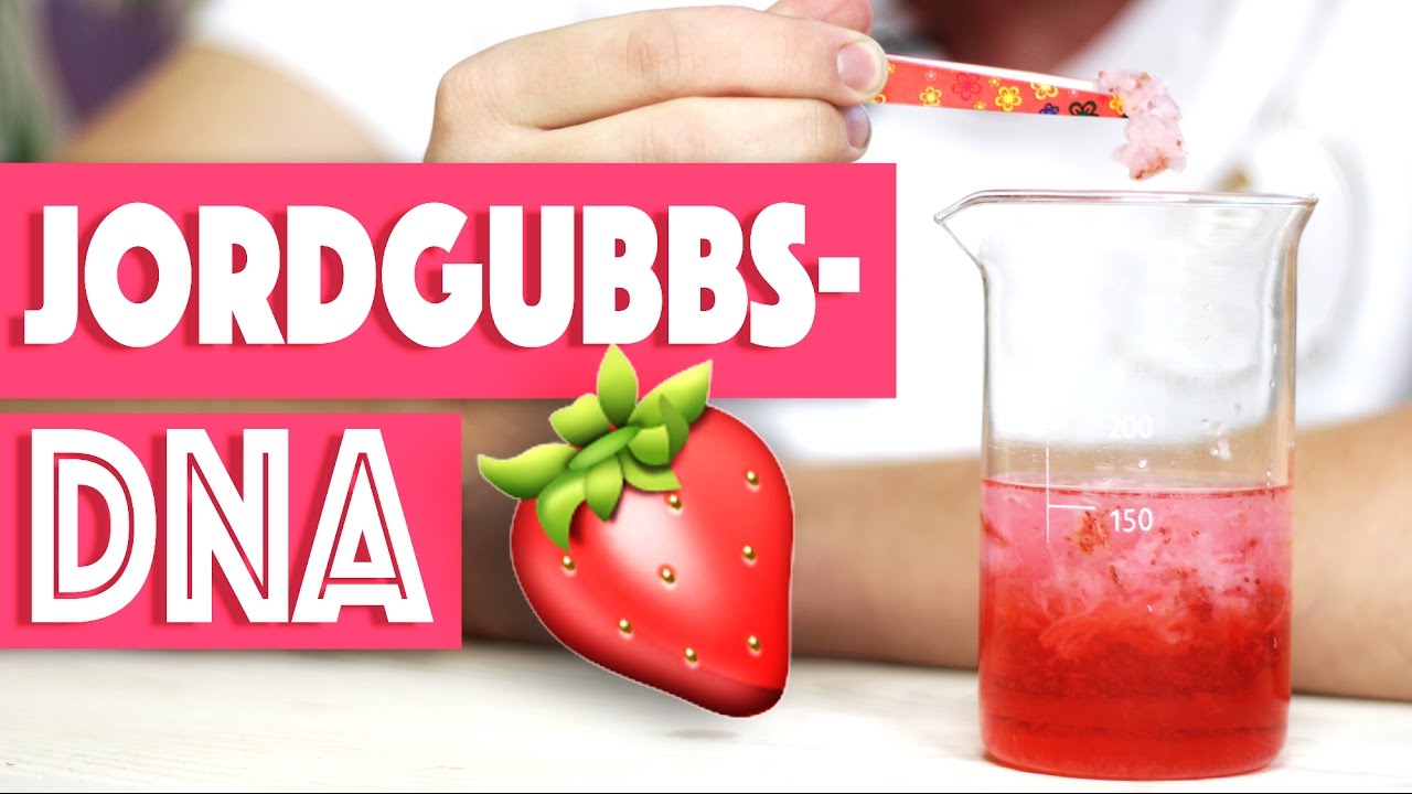 4. Jordgubbs-DNA - LTH:s Julkalender 2016