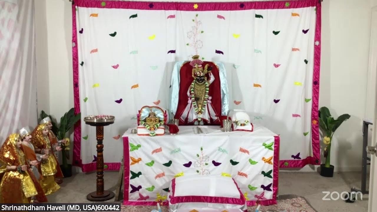 ShrinathDham  Haveli's  Rajbhog Darshan February 22nd 2026