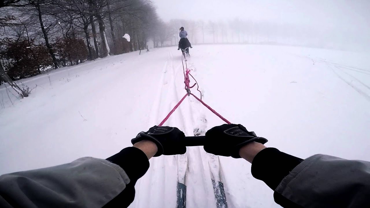 Eifel Ski Horses Vielseitigkeitspferde