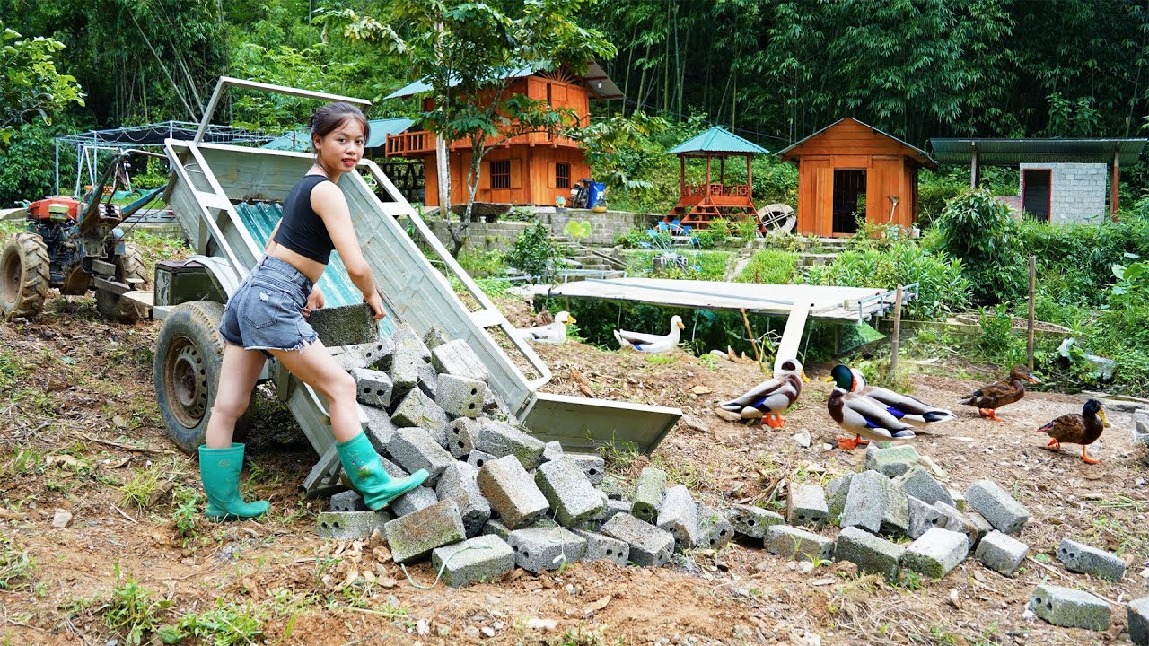 365 days full video: build a vegetable garden, fix a farm - build a farm