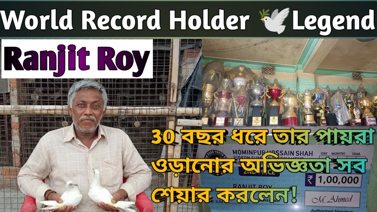 World Record Holder🕊️Legend Ranjit Roy তার 30 বছরের অভিজ্ঞতা ও treatment শেয়ার করলেন#pigeon#khiladi
