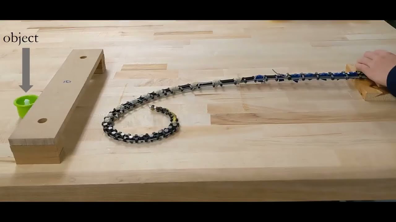 Hybrid Soft-Rigid Continuum Robot Inspired by Spider Monkey Tail