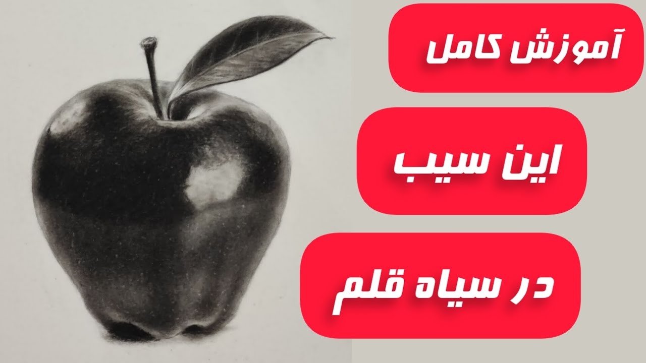 آموزش کامل این مدل در سیاه قلم