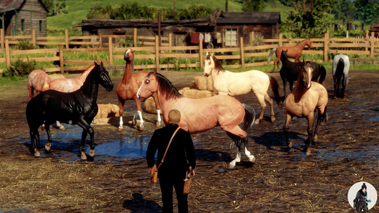 The Legendary Tamer | Arthur Morgan Finds and frees a Ranch Full of American Standardbred Horses