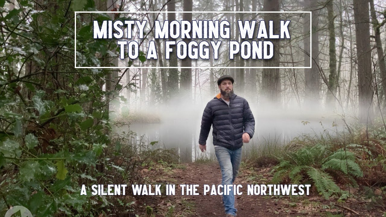 A Misty Morning Walk to a Foggy Pond | A Silent Walk in the Pacific Northwest