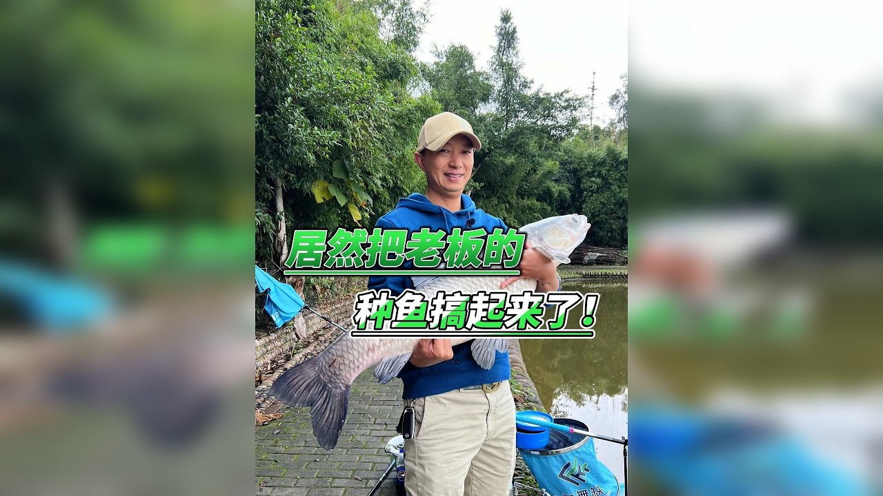 居然还把老板的种鱼钓起来了？