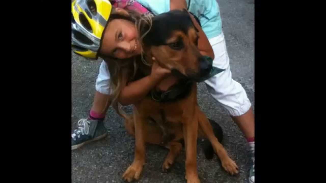 Mina husdjur (Hunden) Leon (Fåglarna) Billy och Bella