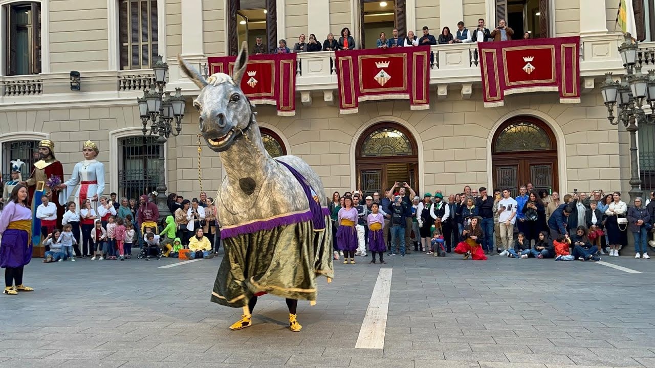 Ball de la Mulassa de Sabadell - Seguici de la Vigíla de la Salut