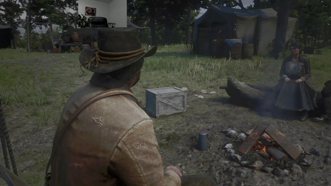 Red Dead Redemption 2  Live Stream 2