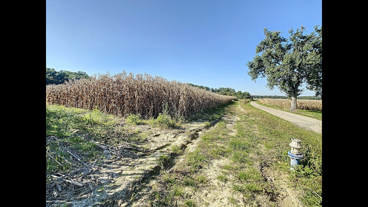 TARN-ET-GARONNE (82) - Exploitation 56 ha irrigables