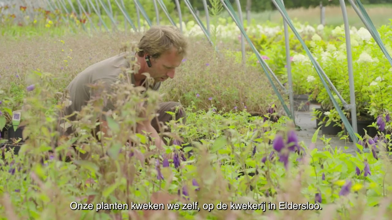 Vreugdenhil: natuurlijk geteelde tuinplanten, kwekerij, grote winkel (tuincentrum), vlakbij Assen