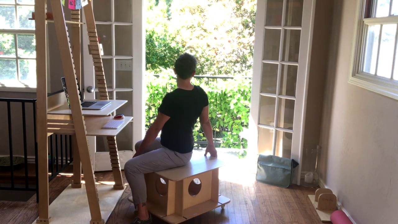 Standing Flamingo and Buddhi Boxx in Action