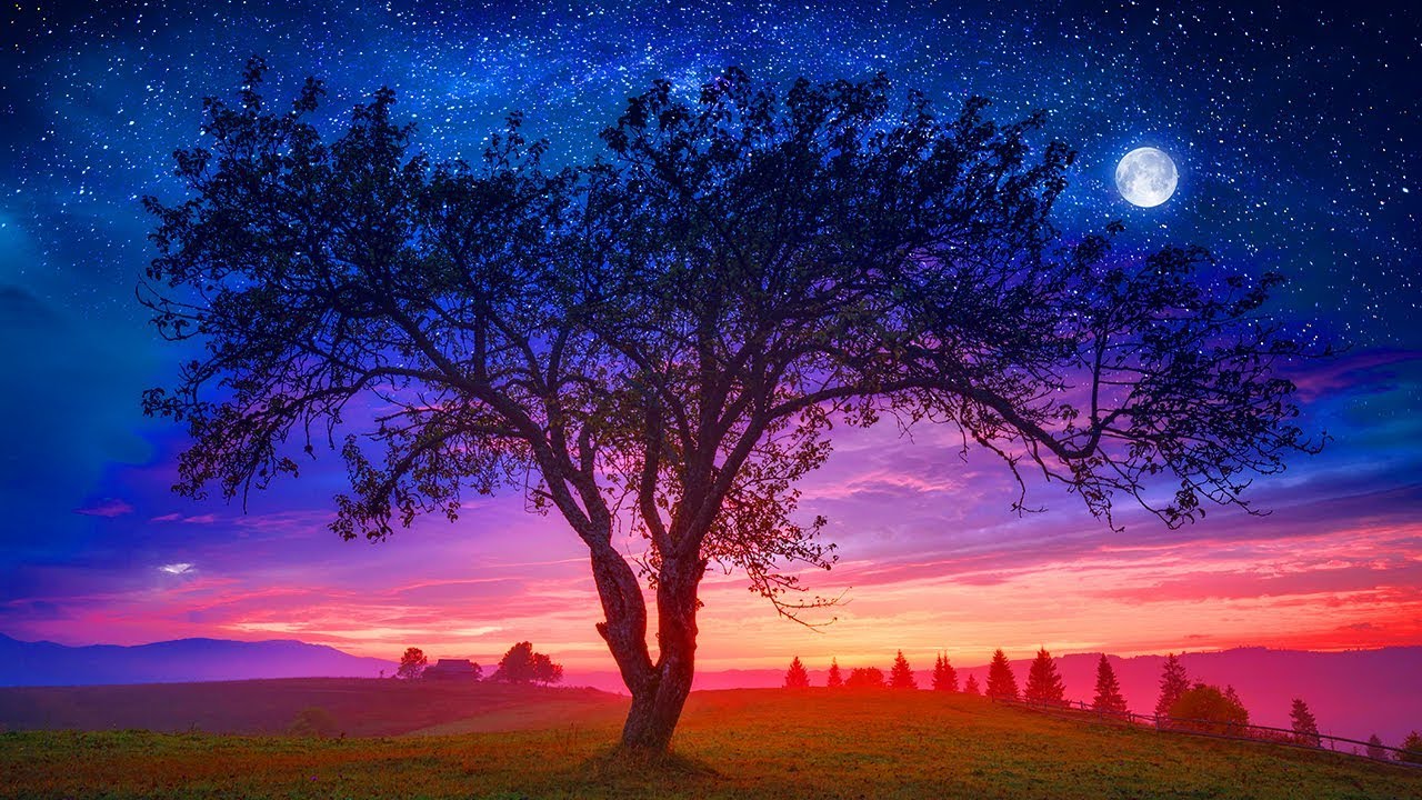 Let Go of Mental Blocks, Positive Aura Cleanse, Earth Chakra Healing Music, Let Go Negative Blocks