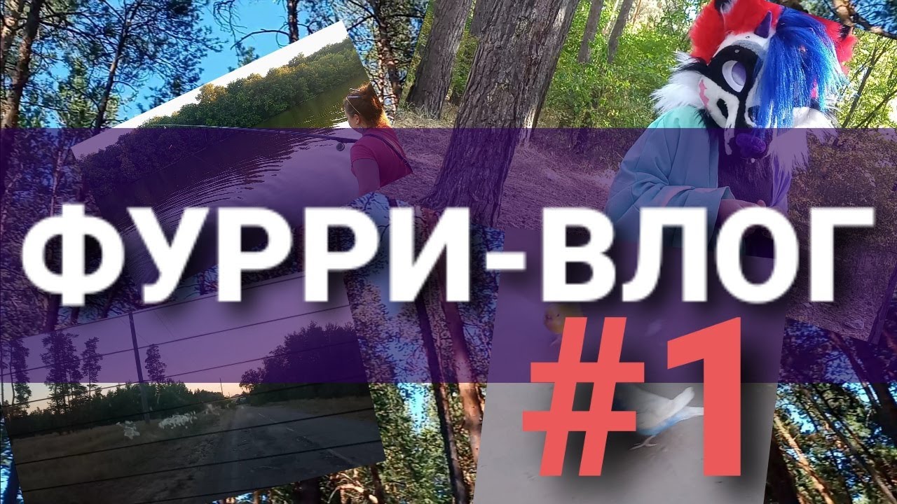ФУРРИ НА ОТДЫХЕ / ВЛОГ С РЕЧКИ / #1