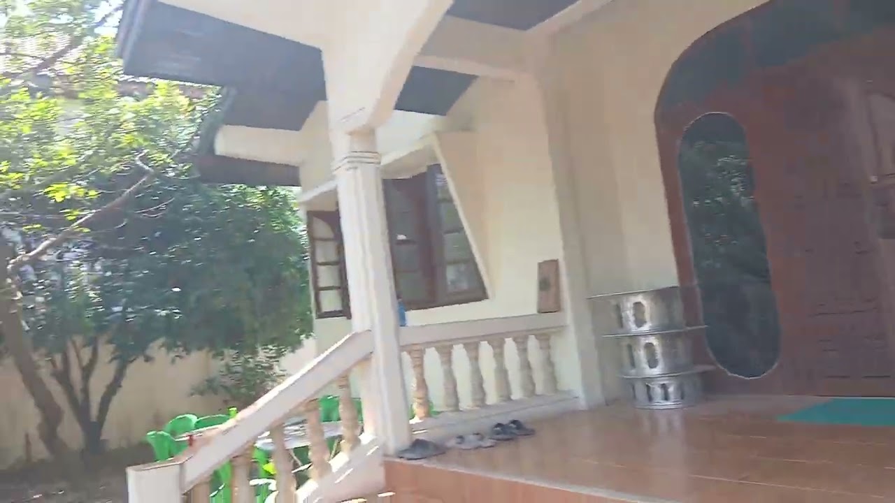 라오스 최고 꽃뱀♡ 물리면 바로 죽는다♡01033764938♡