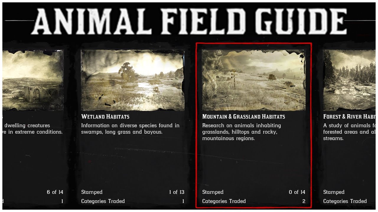 EVERY ANIMAL in the NEW Naturalist Role Field Guide | Red Dead Online Tips