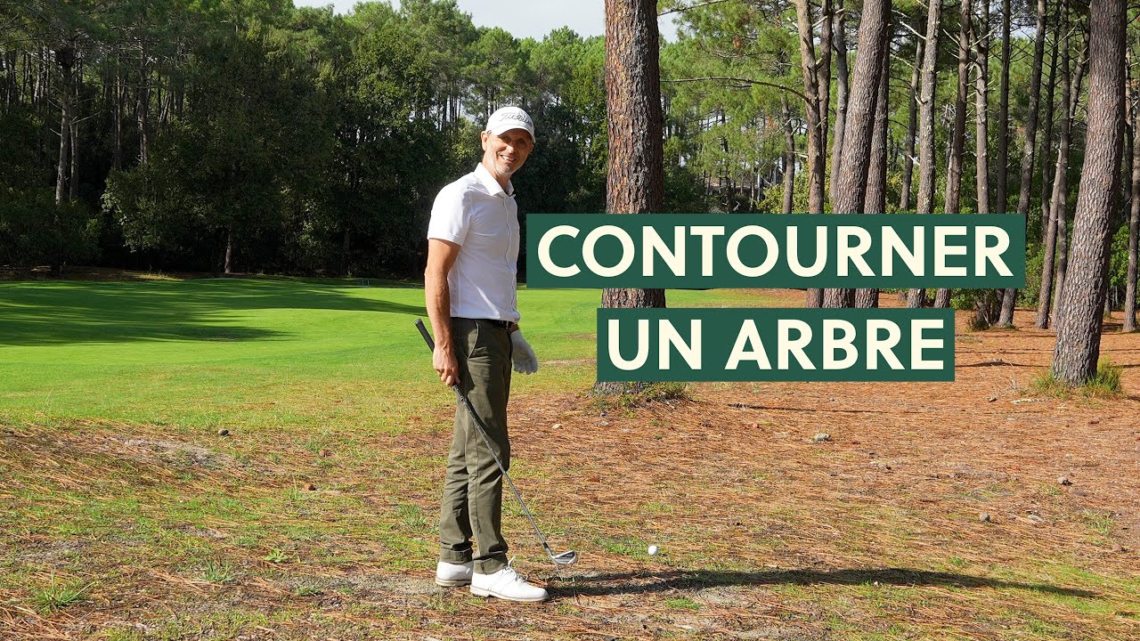 Comment contourner un arbre ?