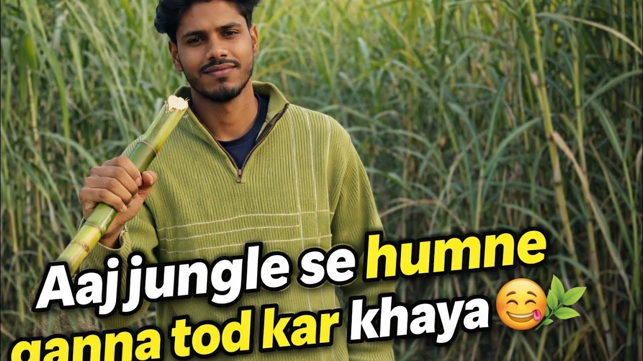 Aaj jungle se humne ganna tod kar khaya 😁 #video #vlog 