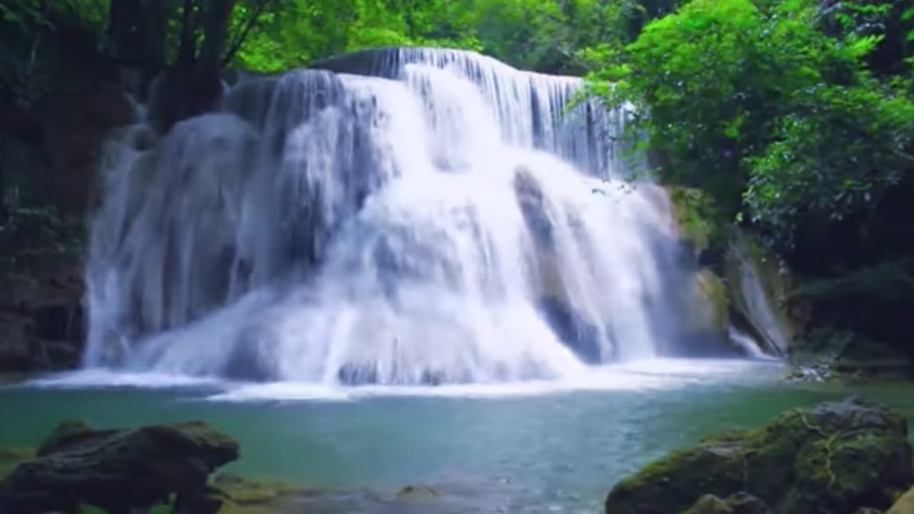 Relaxing Waterfall Sounds 🌿 Cascade Naturelle | Sleep • Study • Relax