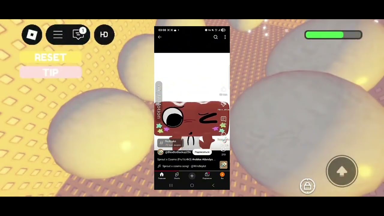 Exposing TishaIsMyQueen (@BloxBoibackup256) |