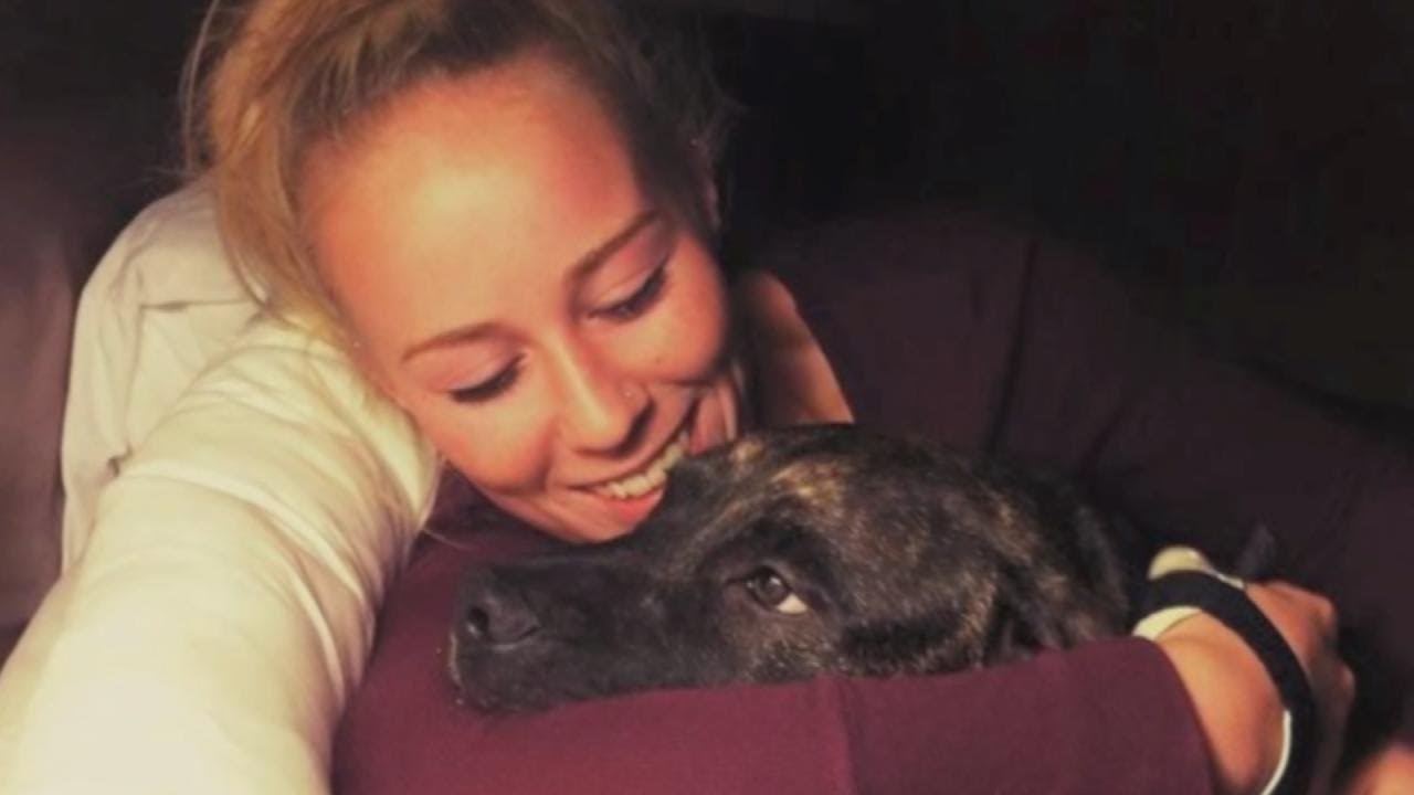 What Caused 2 Pit Bulls to Kill Their Owner?