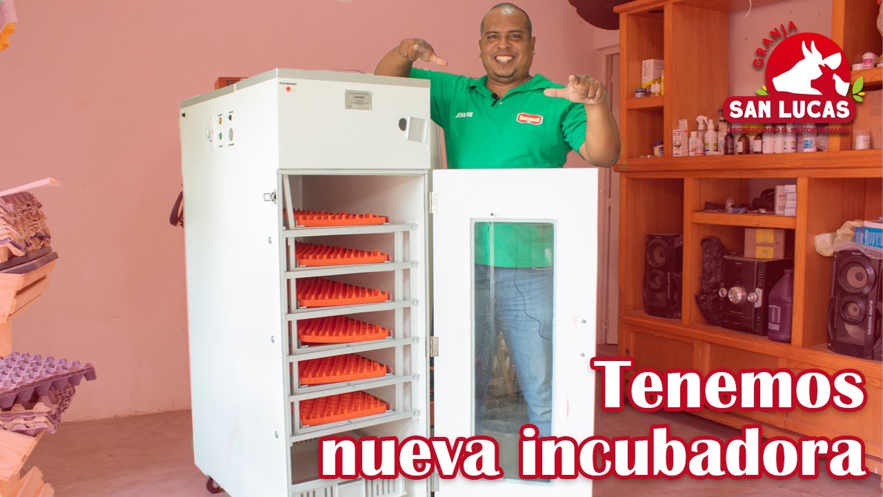 Partes de una incubadora automática para CRIA DE POLLOS | Granja San Lucas