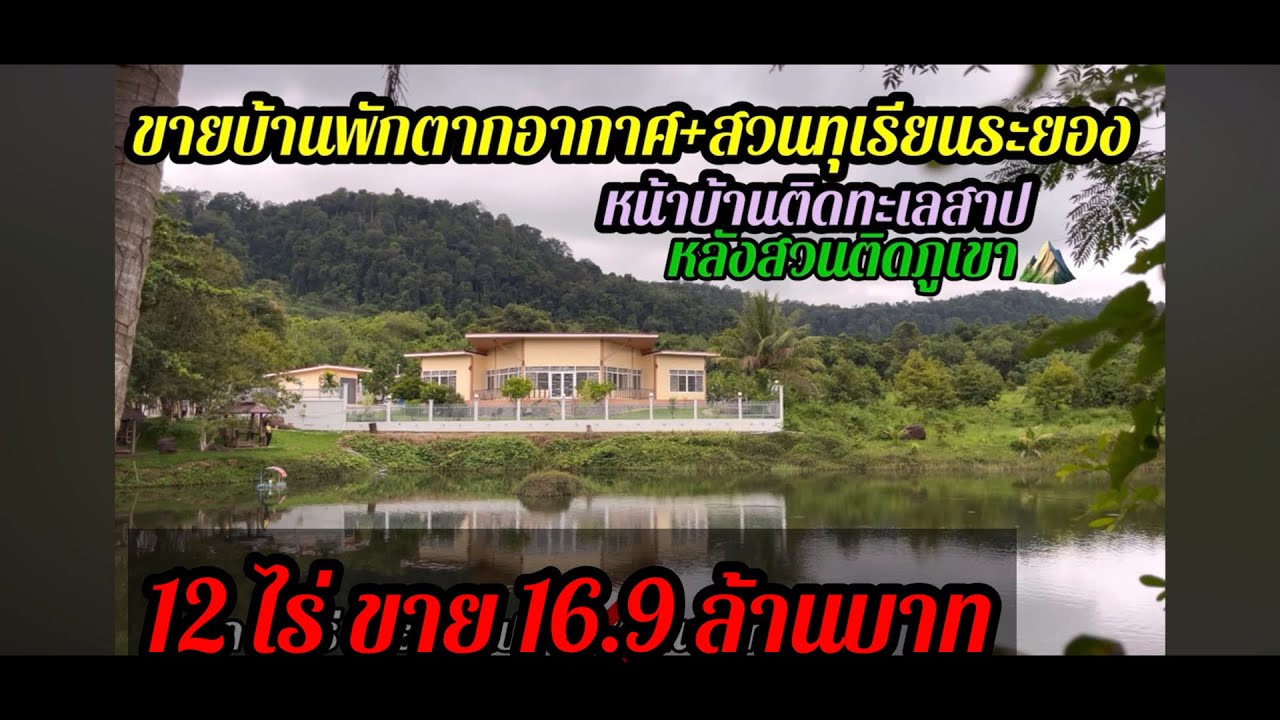 EP.156 ขายบ้านพักตากอากาศสวนทุเรียนระยอง ติดทะเลสาป หลังบ้านติดภูเขา อ.แกลง จ.ระยอง 0890986866หนู