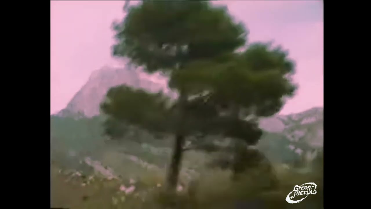 GREEN PICCOLO - Campside