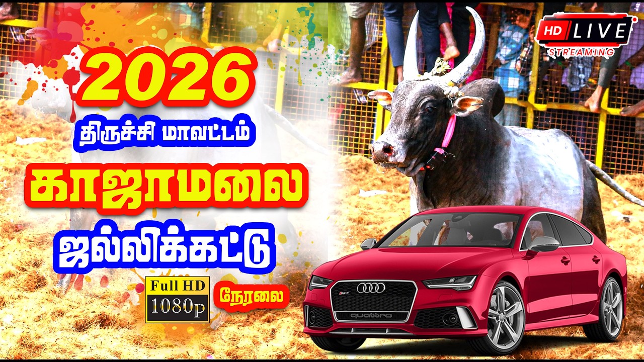 🔴 Live | திருச்சி - காஜாமலை ஜல்லிக்கட்டு நேரலை / Trichy - Kajamalai Jallikattu Live
