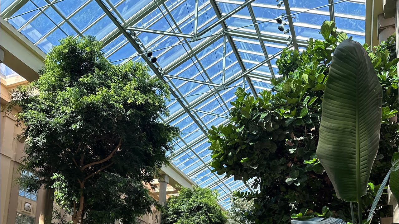 Greenwich CT - Hyatt Regency - Hotel Review