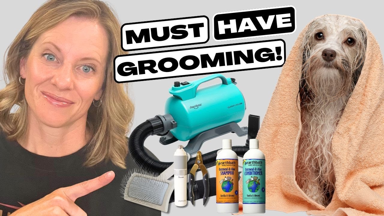10 Essential Tools You Need to Groom Your Own Dog at Home
