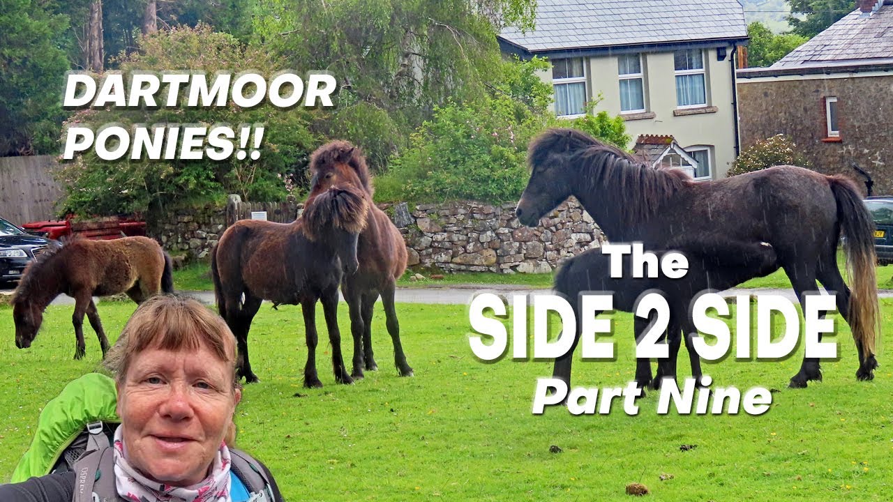The Side 2 Side | Part Nine | Okehampton to Yeoford | Dartmoor Ponies!!