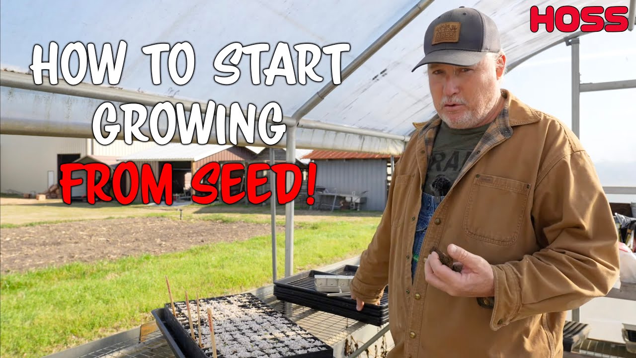 Gardening | Starting Seeds The Right Way