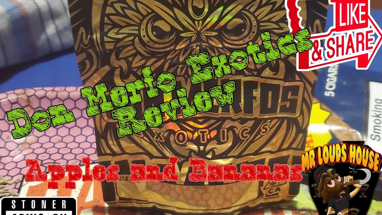 Don Merfos Apples And Bananas Strain Review #MrLoudsHouse