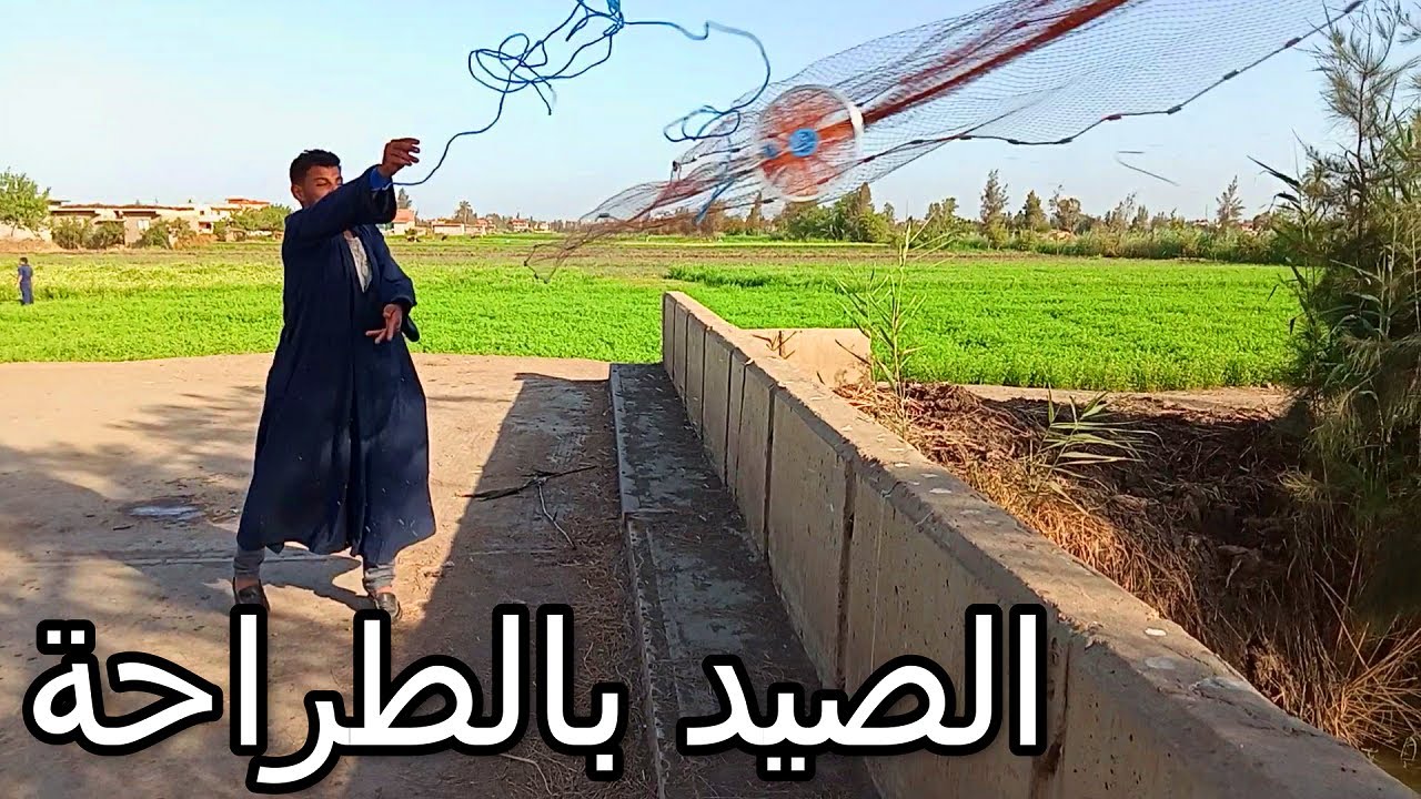 طريقة صيد سمك البلطي بالطراحة في كفر الشيخ 2021