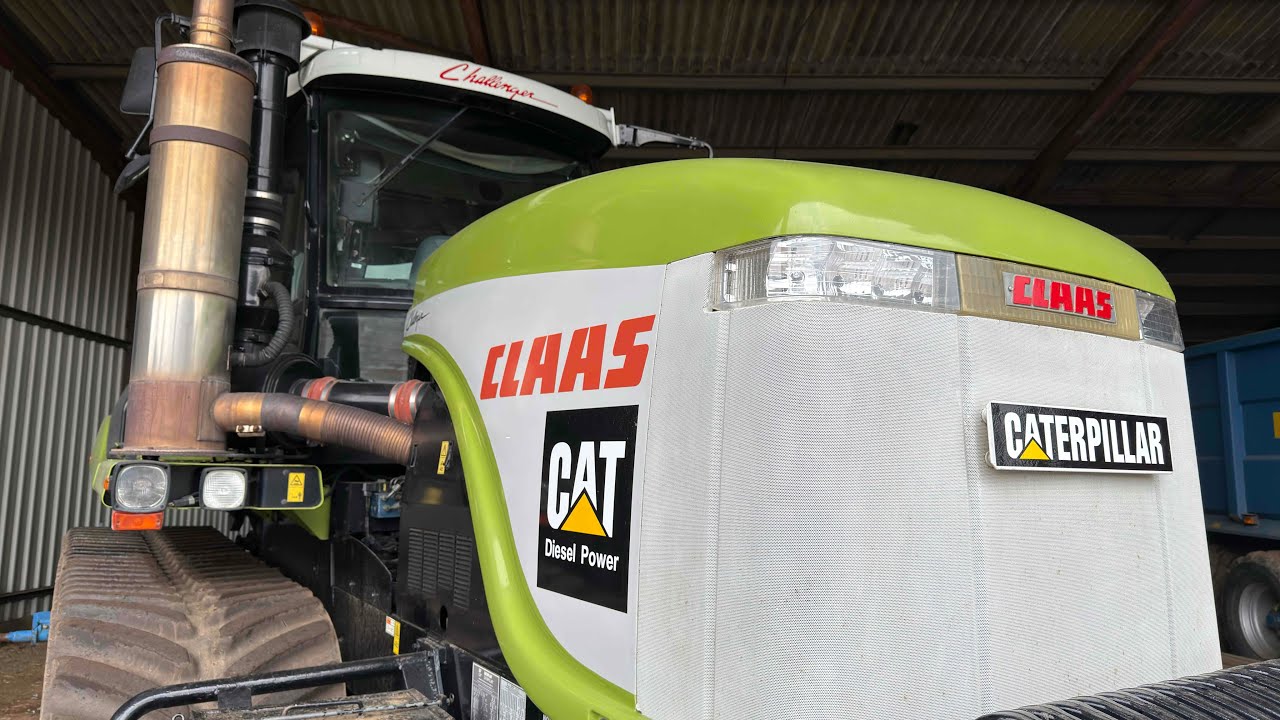 Экскаватор JCB поднимает огромный корень… Претенденты готовы, осталось только дождаться окончания...