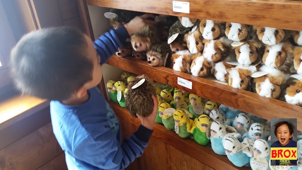 Stuffed Animals @ TaytoTheme Park Gift Shop