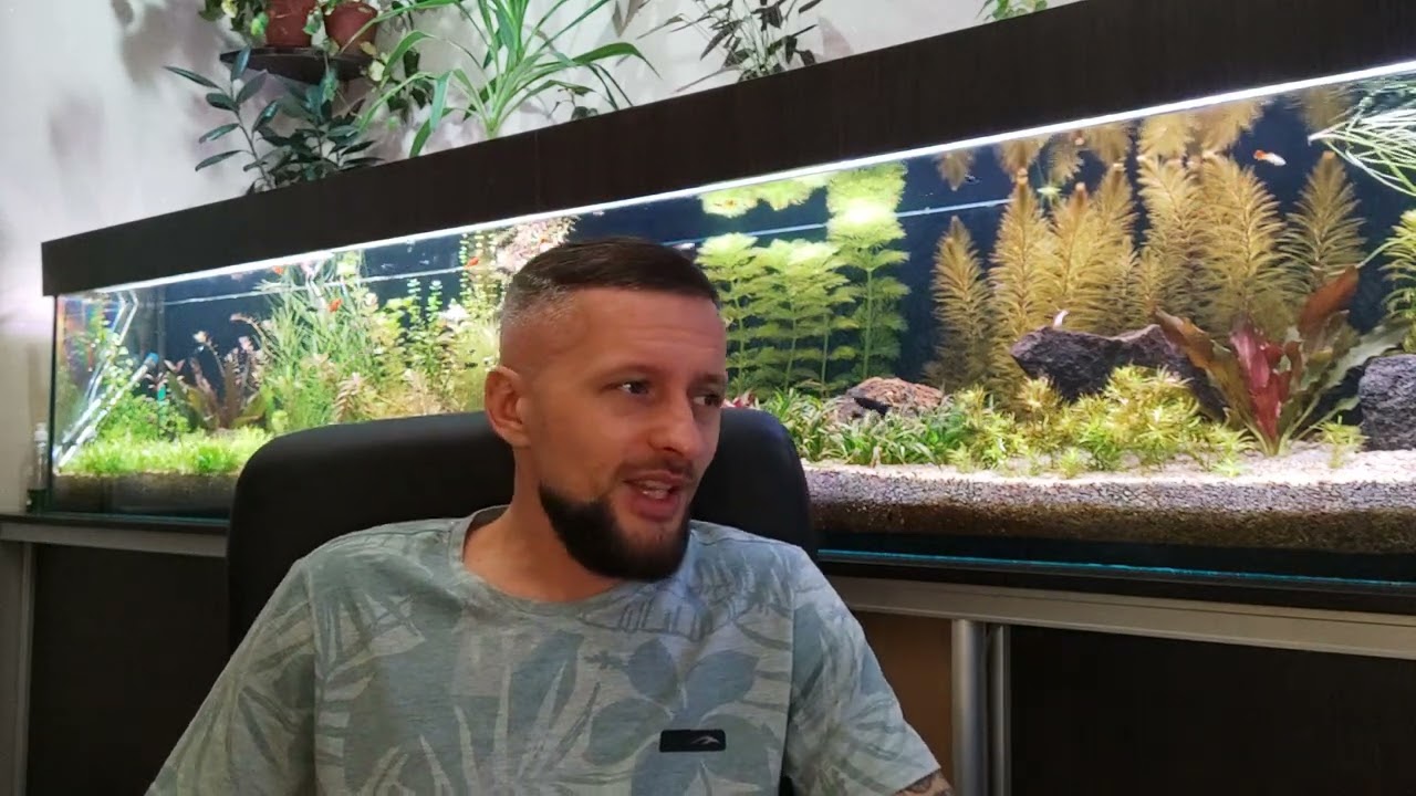 ВОПРОС / ОТВЕТ УДО, адаптация растений, водоросли, криптокаринавая болезнь, СО2, дистилят...