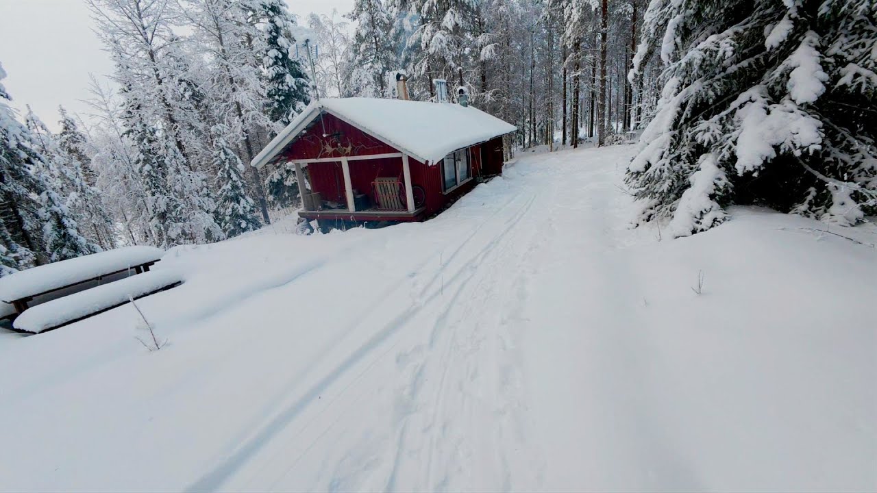 Off Grid Cabin Life Begins - No Electricity, No Water