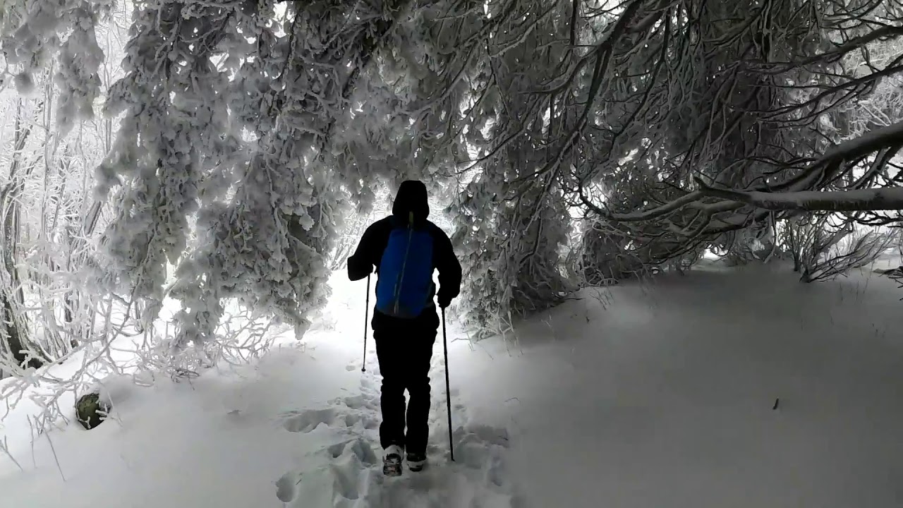 (HIKE) Витоша - кв.Драгалевци - хижа Алеко(1810) / Aleko Hut