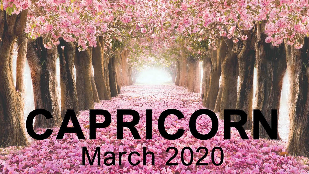 CAPRICORN MARCH 2020 TAROT READING 
