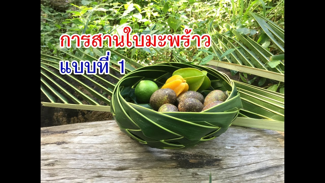 การสานใบมะพร้าว แบบที่ 1