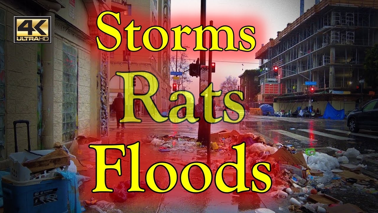Storms Rats Floods on Skid Row Homeless Encampments Los Angeles