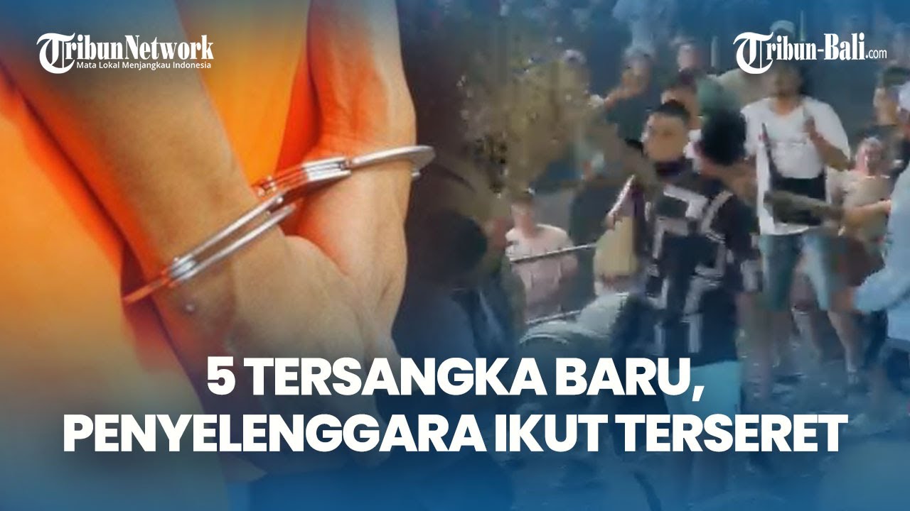 5 Tersangka Tajen Maut di Songan, Tewasnya Komang Alam oleh Mangku Luwes, KS Penyelenggara Terseret!