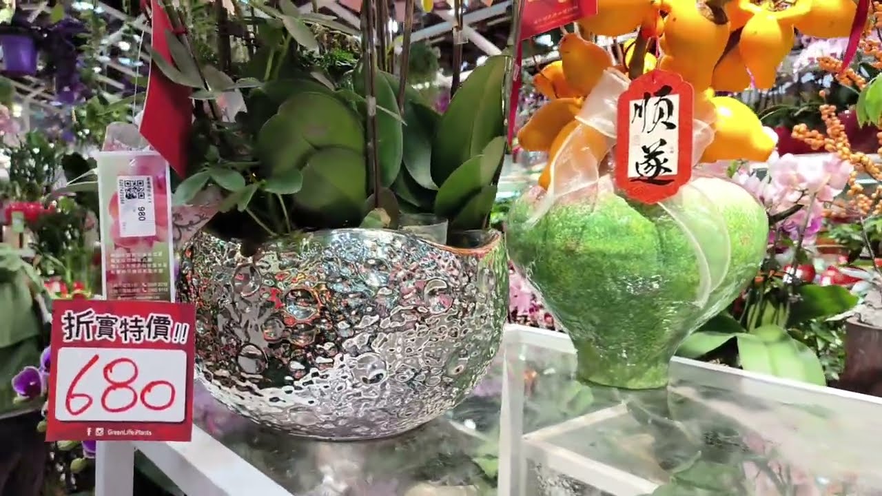 年二十，我們一起去看看花墟的年花漲價幾多