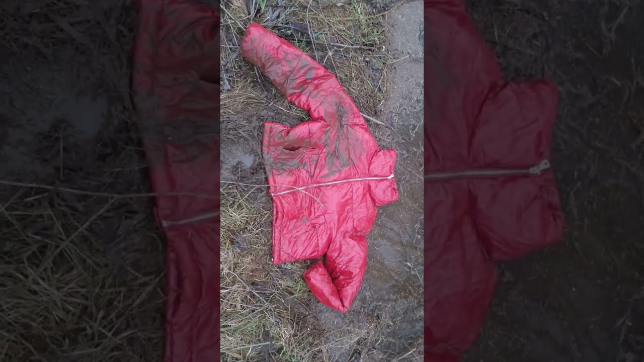 Red shiny CROPP puffer mudded in swamp near destroy