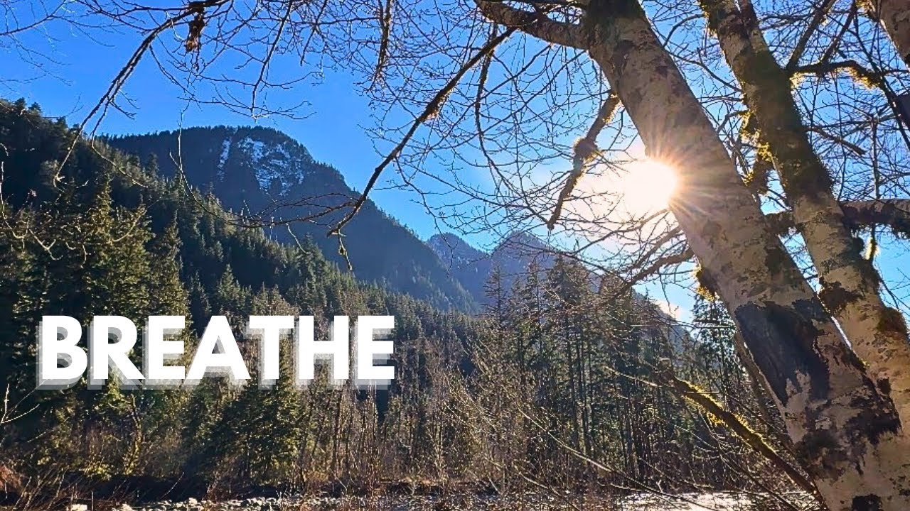 Middle Fork Valley, North Bend | Cinematic 4K Nature Escape