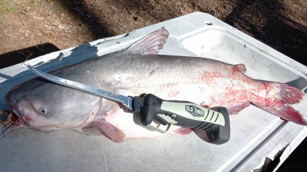 Old Timer Lithium-Ion vs 15lb Catfish...Cordless Electric Fillet Knife Test