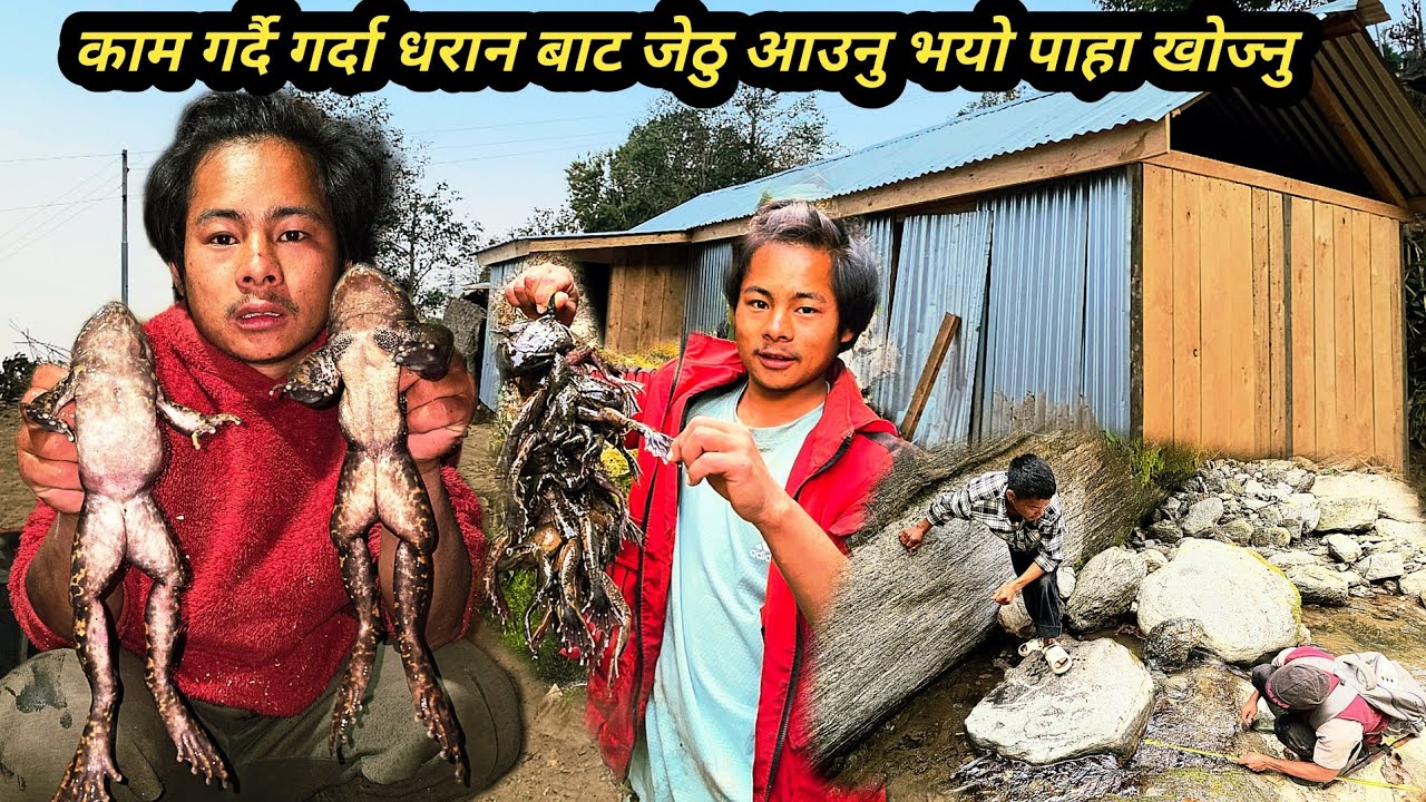 काम गर्दा गर्दै धरान बाट जेठु आउनु भयो पाहा खोज्नु हाम्रो महल एस्तो हुँदै?#villagelifestyle #myhome 