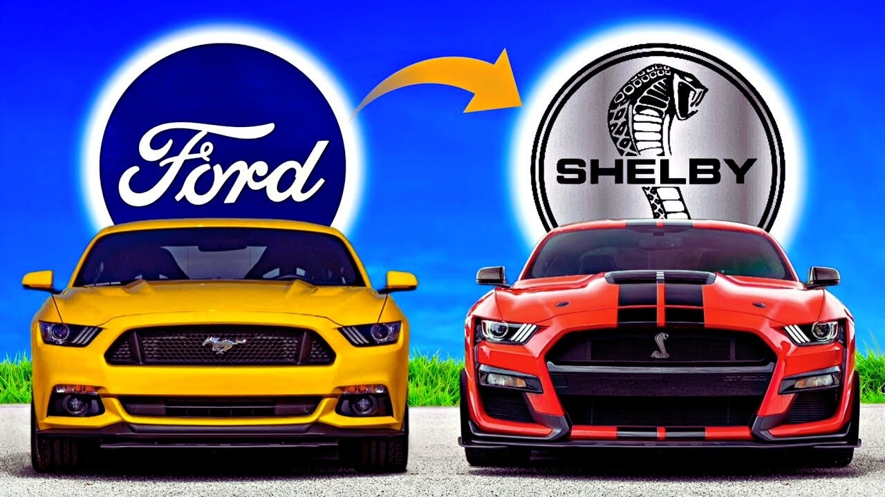 What is Shelby? Difference Between Ford Mustang & Shelby Mustang